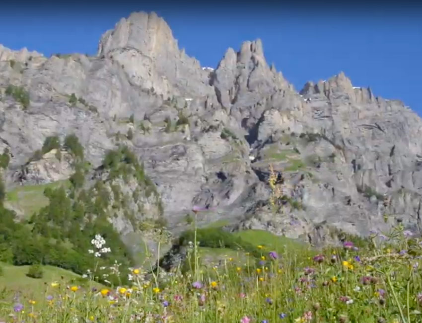 Création des sites internet / web, photographie & vidéo - Sion - Martigny - Sierre - Valais